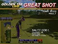 Golden Tee Great Shot on Sunny Wood!