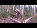 2009-08-05 | INZANA OUTFITTERS PROMO Video '09 ~> hunting Moose, Bear, or go on a winter trapline adventure with Paul Trepus of Inzana Outfitters. ... "Moose hunting" "bear hunting" "trapline ... (5:26)