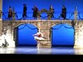 fouettes Don Quichotte