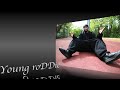 Young roDDie feat. Danny Fresh - They Wanna Know