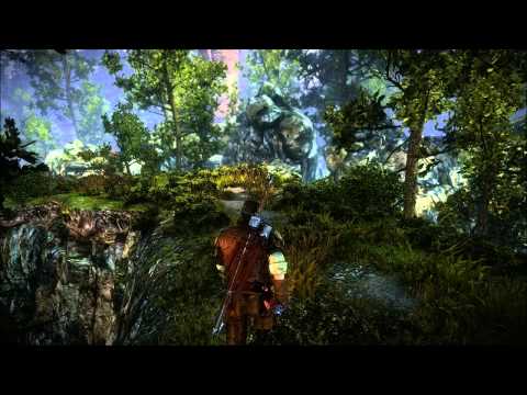 The Witcher 2 : Assassins of Kings