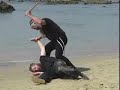 Short stick Kote kujiki Moshe Kastiel ninjutsu