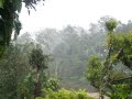 Tropical storm Ida