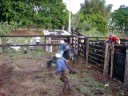 100_3568.MOV