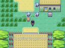 the-kanto-journeys-part-101.html