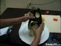 Making a food penguin for fun