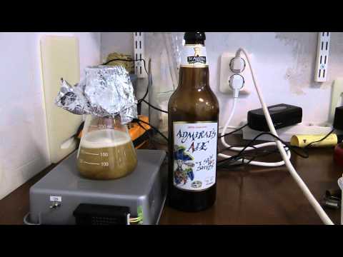 how to harvest bottle dregs