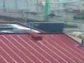 scania V8 sound