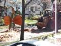 Leaf Collection-Cleve Hts., OH  Style - Nov. 6, 2009