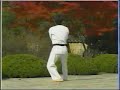 Sipjin stands for ten symbols of longevity, which are Sun, Moon, Mountain, Water, Stone, Pine tree, Herb of eternal youth, Turtle, Deer, and Crane. This Poomsae represents the endless development and growth by the basic idea of the ten symbols of longevity and the decimal system.
