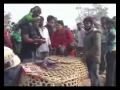 Sacrificios para la diosa Gadhimai en Nepal. (Las religiones, sectas y sus locuras divinas O.o!)