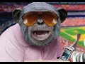 Even Monkey Man Got Rocked By Mortgage Scandal