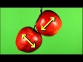 How to Untangle Your Testicles
