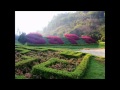 SAPA, VIETNAM, Travel, Du Lich. -- T.A.DO - YouTube