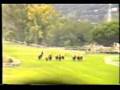 1990 (443) P.RADIO INTERCONTINENTAL (2.ªC.)(THE ENGLISHMAN)