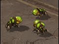 Zerg Berstling stehend
