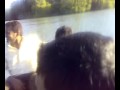 lakes view london mumtaz 2