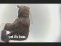Bad News Bear Inc.  [Bush, Divorce, Breakups]
