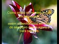 Click here to watch this video Salmos 125.wmv