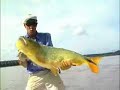 Curado 300DSV