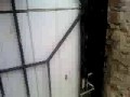 vid0036.3gp
