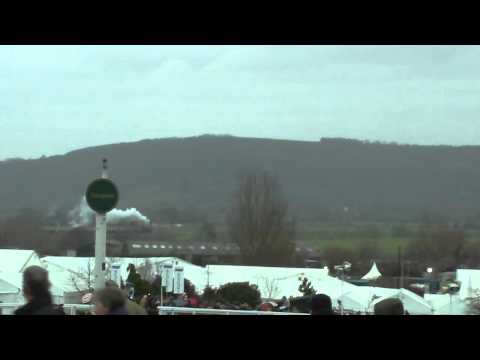 cheltenham races