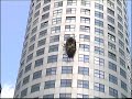 Zwaluwnest nest aan de Weena Toren 21 mei 2008 Zwaluwnest nest aan de Weena Toren 21 mei 2008