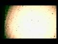 videos de Kool Savas feat. Eko - Deutschlands 1