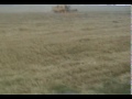 Combining (Harvesting) in Nottinghamshire (UK)