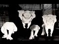 Closer - Open Casket (edit)