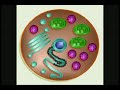 Thunderf00t, Potholer54, Dawkins,etc vids answer 10questions