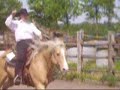 Lonestar stables