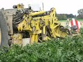 Ropa EuroTiger kopie buraki u yacentego Ropa EuroTiger kopie buraki u yacentego