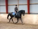 Herscher 15.09.08