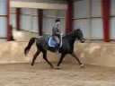 Herscher 15.09.08