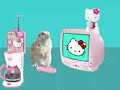 hello kitty thuy video