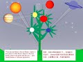 Biodynamic Aspects of the Heavens Creating Plants Biodynamic Aspects of the Heavens Creating Plants