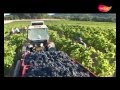 Château La Coste, Vignes Art et Architecture ...