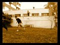 PKTG - Catastrophic Freerunning