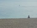 The Flying Mobulas of the Sea of Cortez