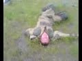 drunk russian occupants