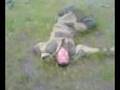 drunk russian occupants