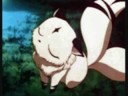 inyasha