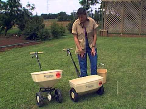 how to fertilize fescue grass