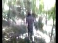 videos de hidden garden
