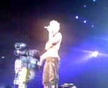 pink live 2006 cia