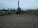 Reguila in piaffe