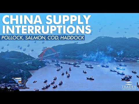 3MMI -China Supply Interruptions; Pollock, Salmon, Cod, Haddock; Buy Recommendations