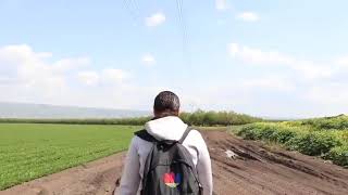 حبك يا بلادي جوا قلوبنا ما بيخلص ❤️??من قرية المالكية قضاء صفد ?