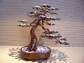 Bonsai Tree Sculpture #60 by Jim Shull